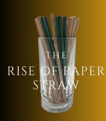 Rise of paper straw-min