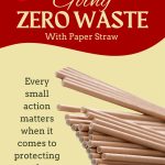 The Hidden Craft of Paper Straws: Small Design, Big Thought